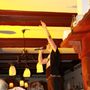 img8200__512x768_90x90.jpg
